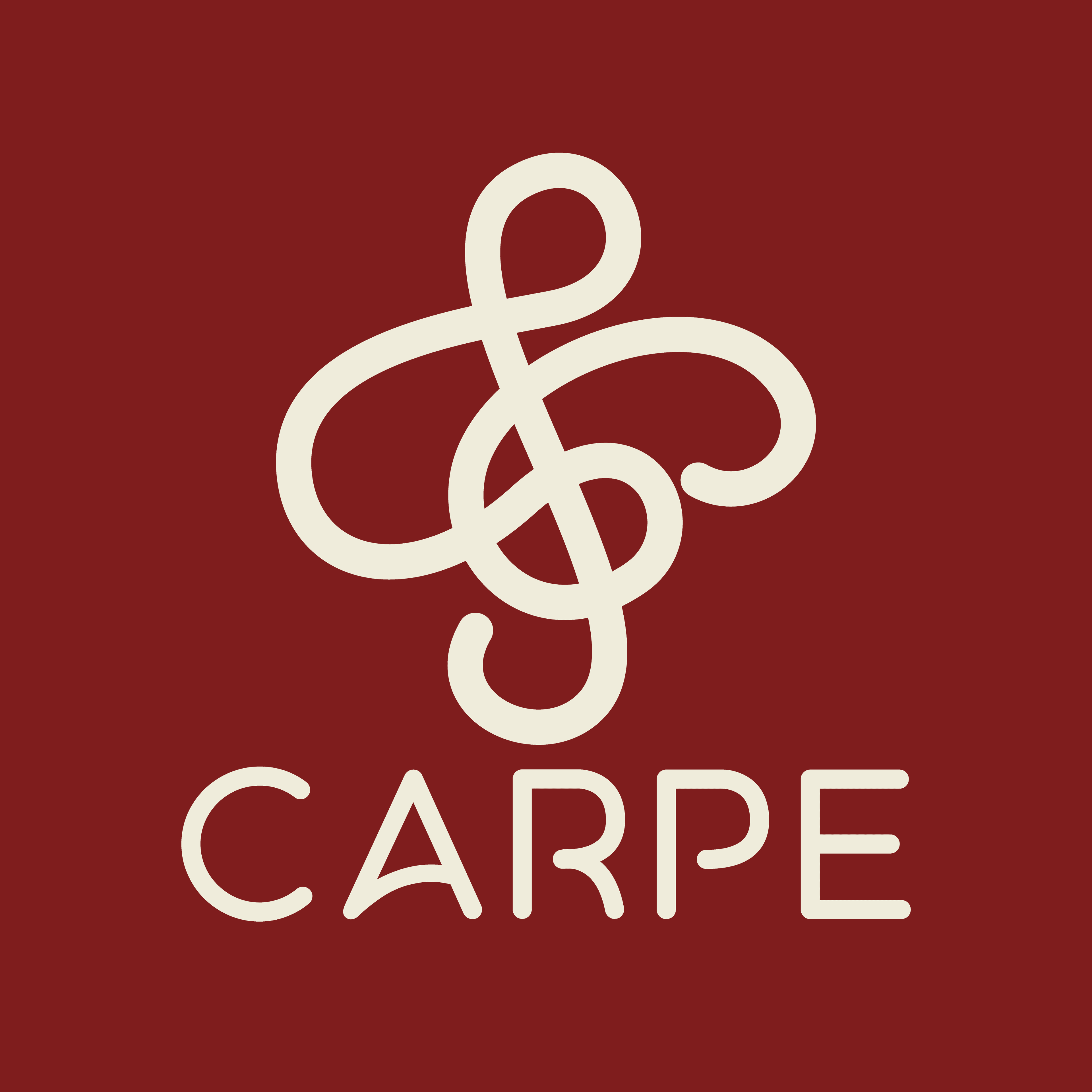 Carpe Symphonic Band